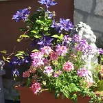 Bed & Breakfast Desenzano Desenzano del Garda