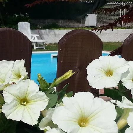 Desenzano 4* Ντεζεντσάνο ντελ Γκάρντα