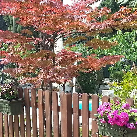 Desenzano Bed and Breakfast