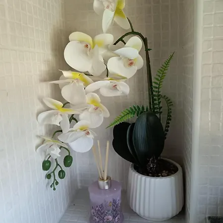 Desenzano