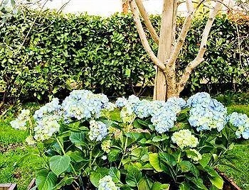 Bed and Breakfast Desenzano 4*