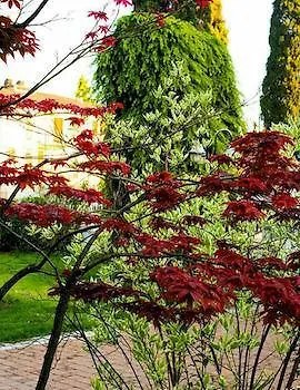 Desenzano Ντεζεντσάνο ντελ Γκάρντα