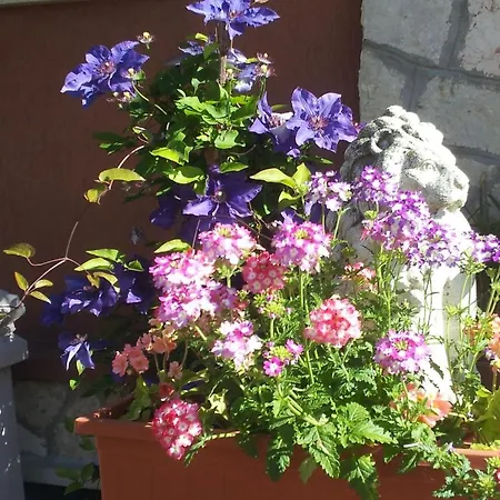 Bed and Breakfast Desenzano Ντεζεντσάνο ντελ Γκάρντα