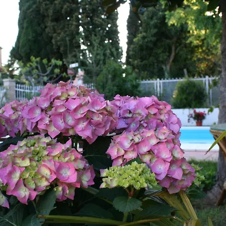 Bed & Breakfast Desenzano Desenzano del Garda